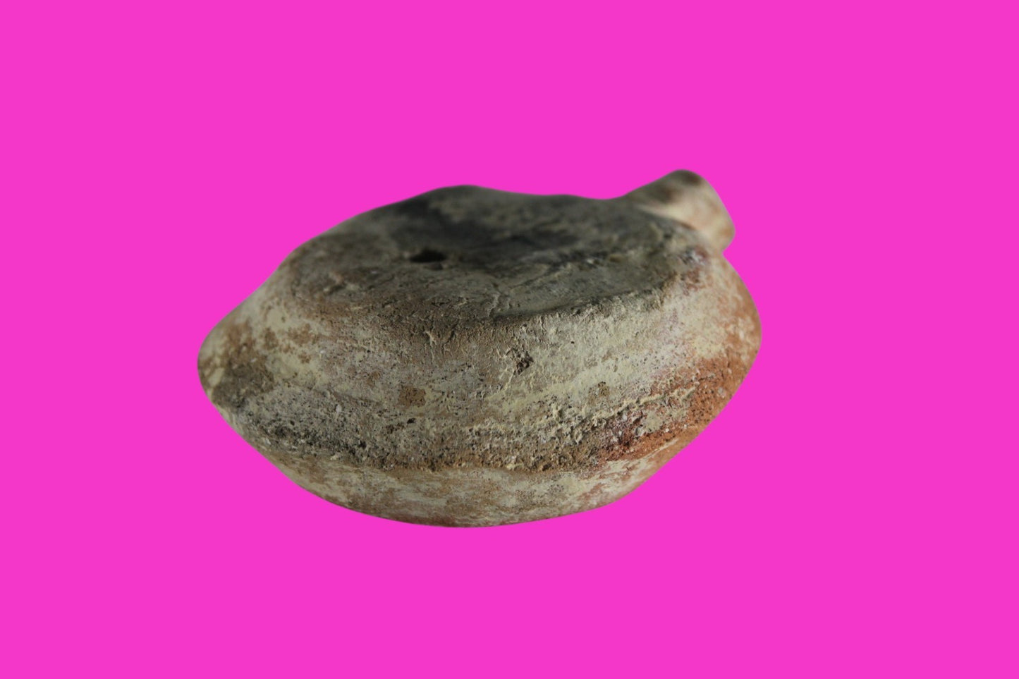 ORIGINAL Desert Patina Big Widows Mite Herods Hoard Holy Land Artifact COA A125