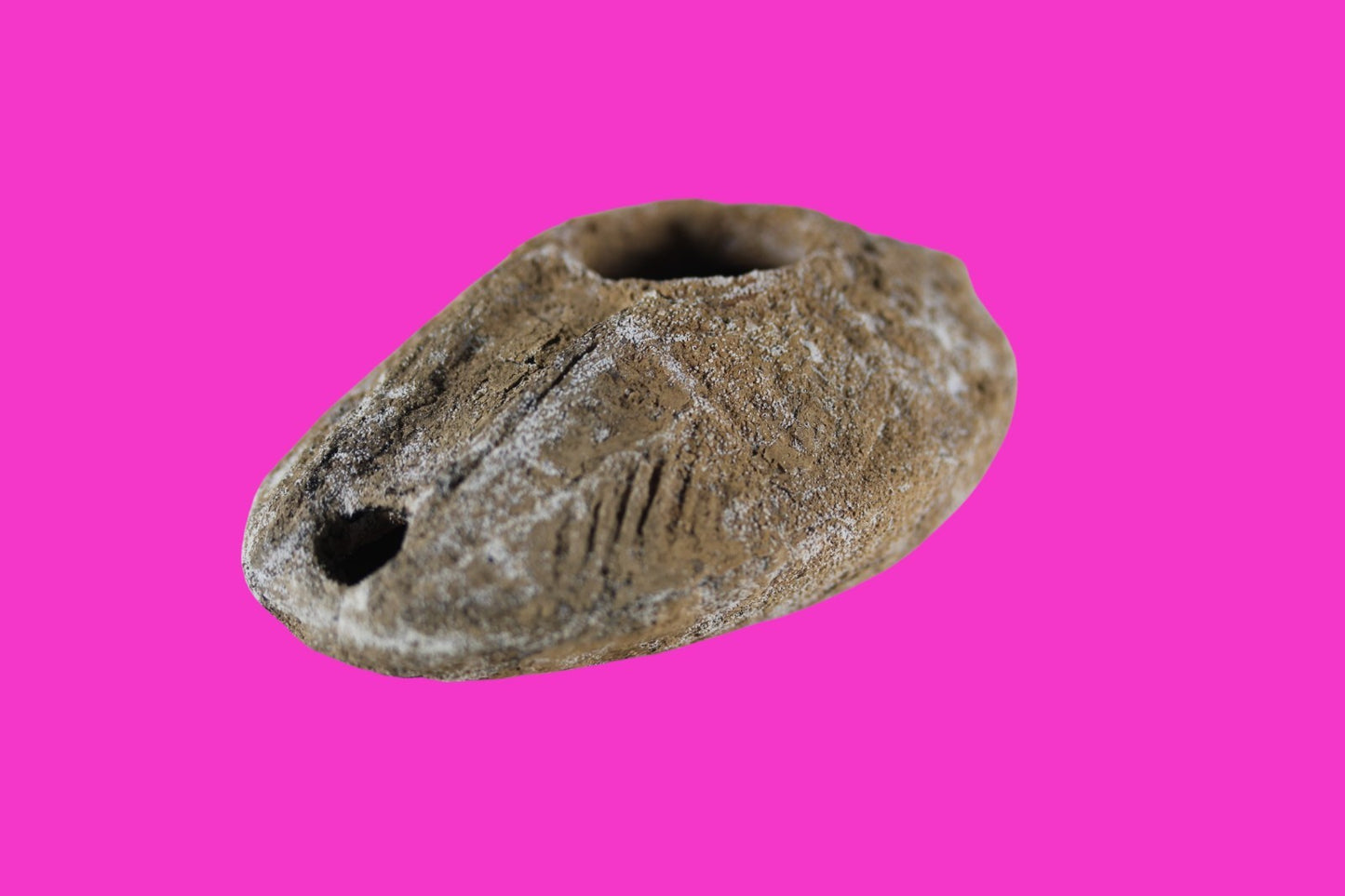 Time of the Christians Oil Lamp Ancient Holy Land Artifact 313-636 AD COA 23