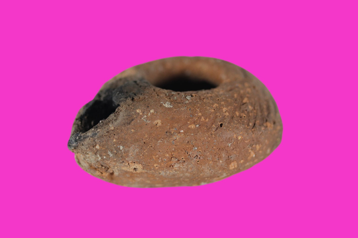 Holy Land Oil Lamp Ancient Artifact Time of Jesus & Apostles 63BC-323AD COA 146