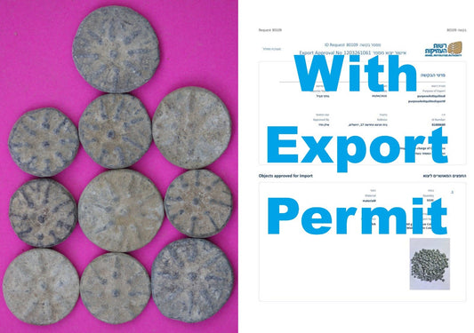 High Quality 10 Widows Mite Coins Holy Land Artifacts Small Leptons COAs Q945