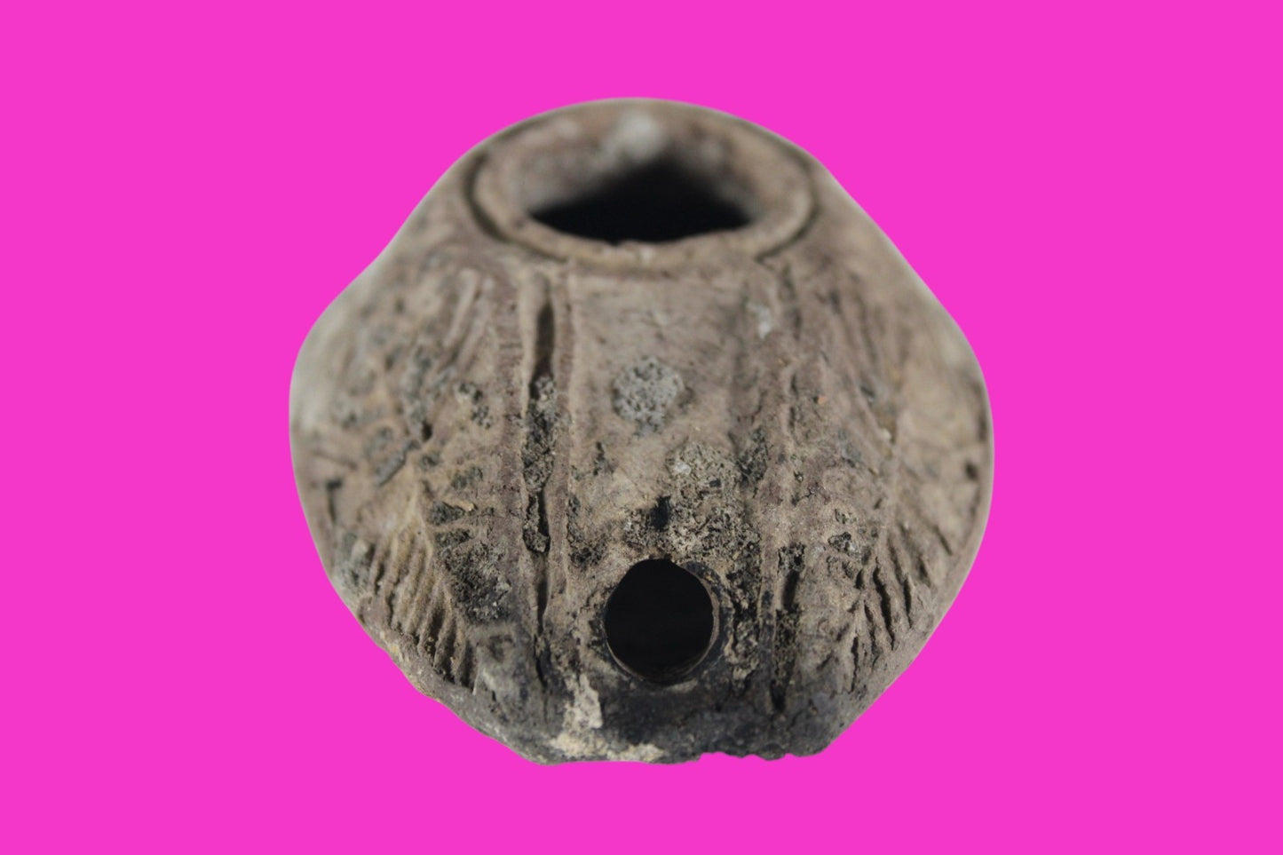 Ancient Holy Land Oil Lamp Artifact 2 Hidden Christian Crosses 300-600AD COA 111