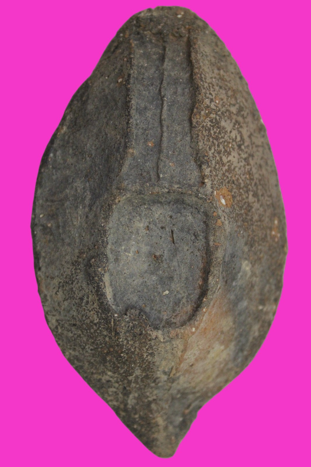 Holy Land Oil Lamp Ancient Artifact Time of the Christians 313-636 AD COA 182