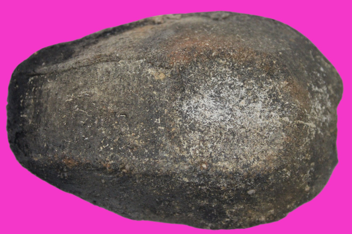 Time of the Christians Oil Lamp Ancient Holy Land Artifact 313-636 AD COA 20