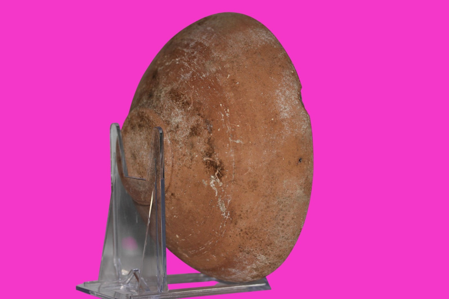 ORIGINAL Desert Patina Small Widows Mite Herod Hoard Holy Land Artifact COA A180