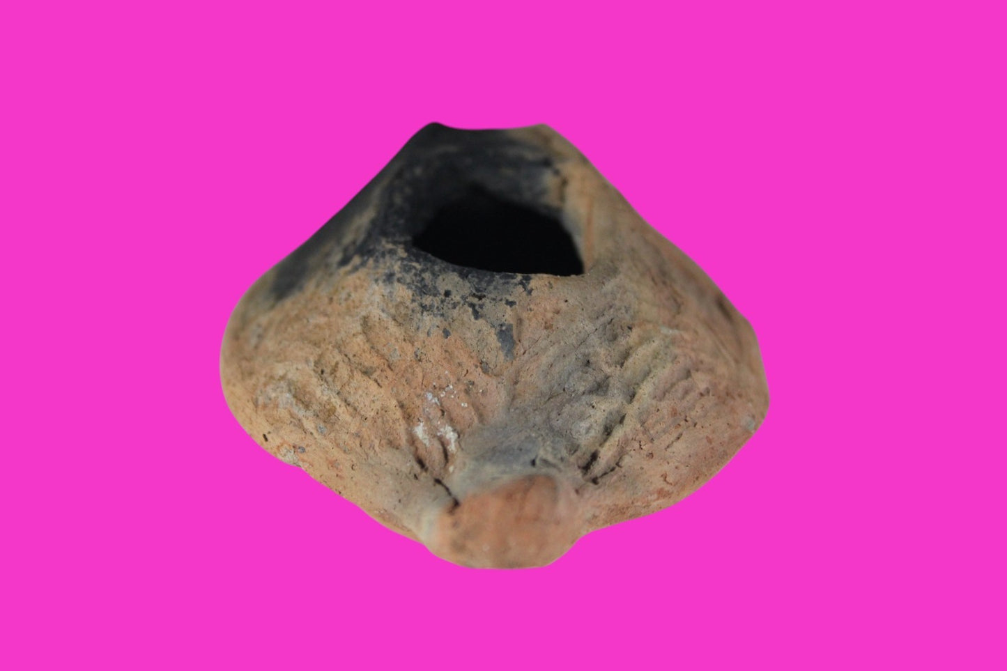 Oil Lamp Holy Land Ancient Artifact Jesus Christ Home Israel 300-600 AD COA 94