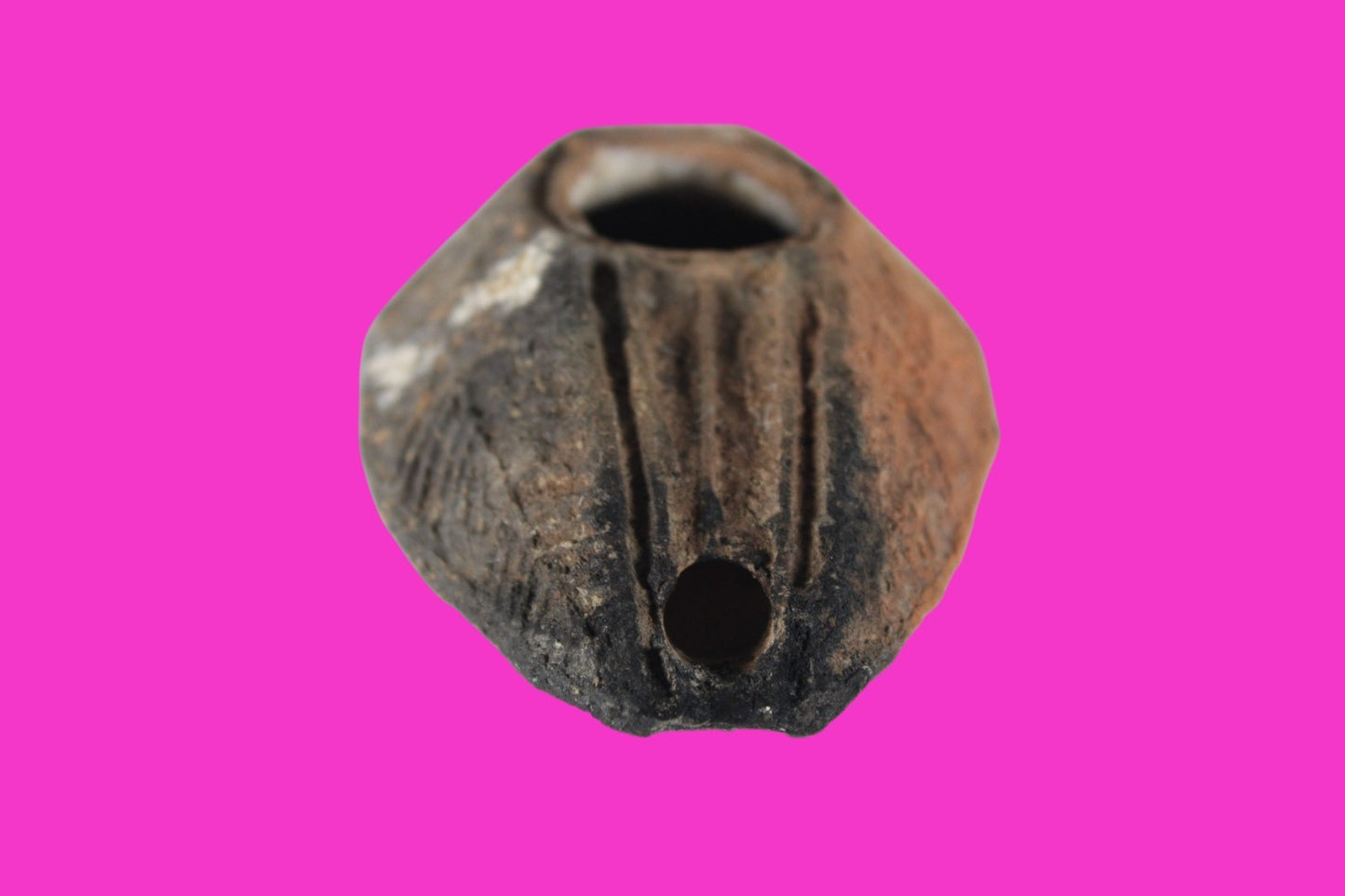 Holy Land Oil Lamp Ancient Artifact Time of the Christians 313-636 AD COA 216