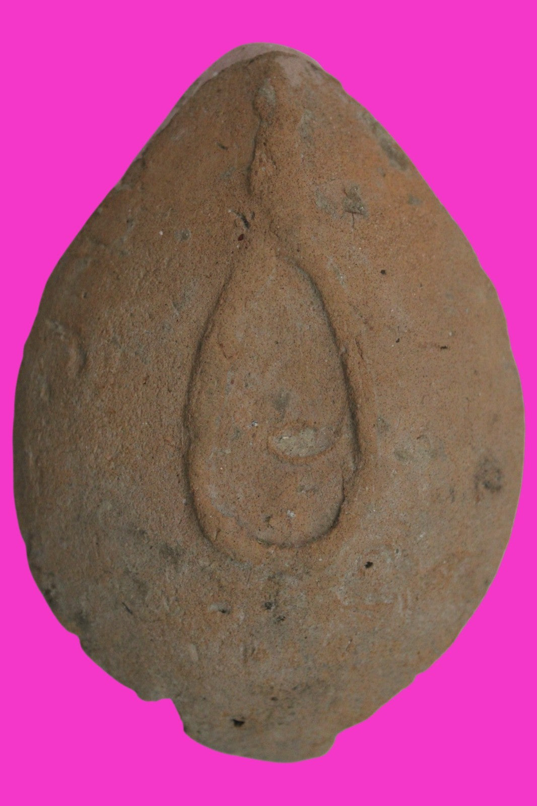 Holy Land Oil Lamp Ancient Artifact Time of the Christians 313-636 AD COA 208