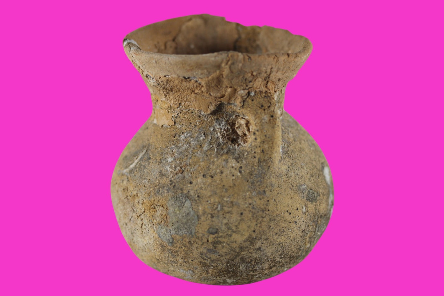 Time of Alexander the Great Holy Land Artifact Ancient Jar 332 BC-63 AD COA 91