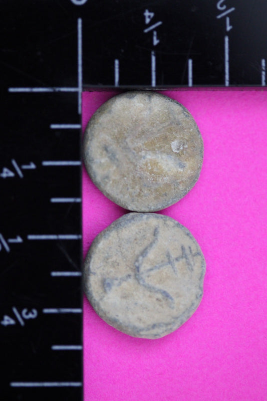 2 Small Widows Mite Coins Holy Land Artifacts Leptons Export Permit COA R957