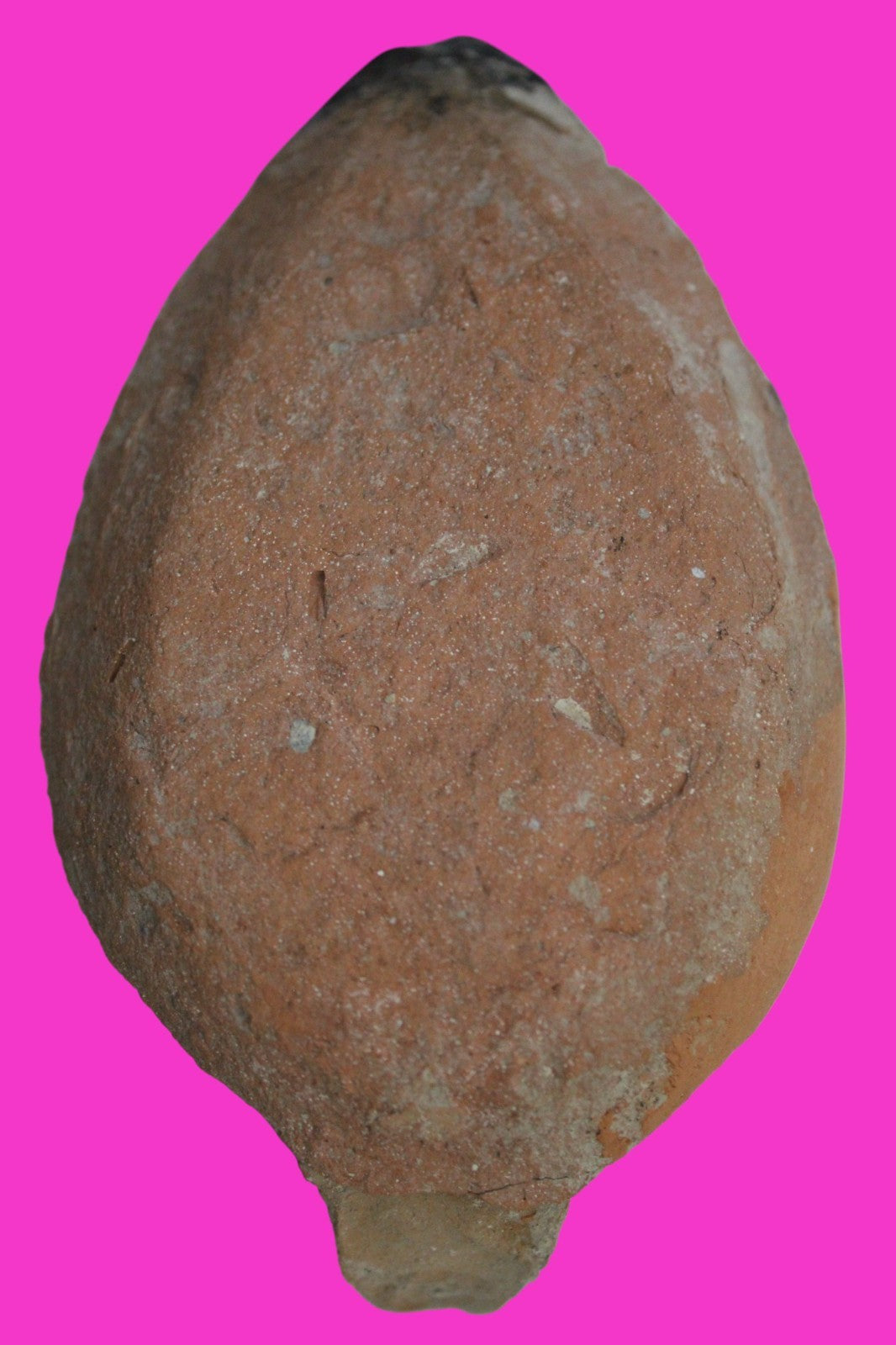Holy Land Oil Lamp Ancient Artifact Time of the Christians 313-636 AD COA 203