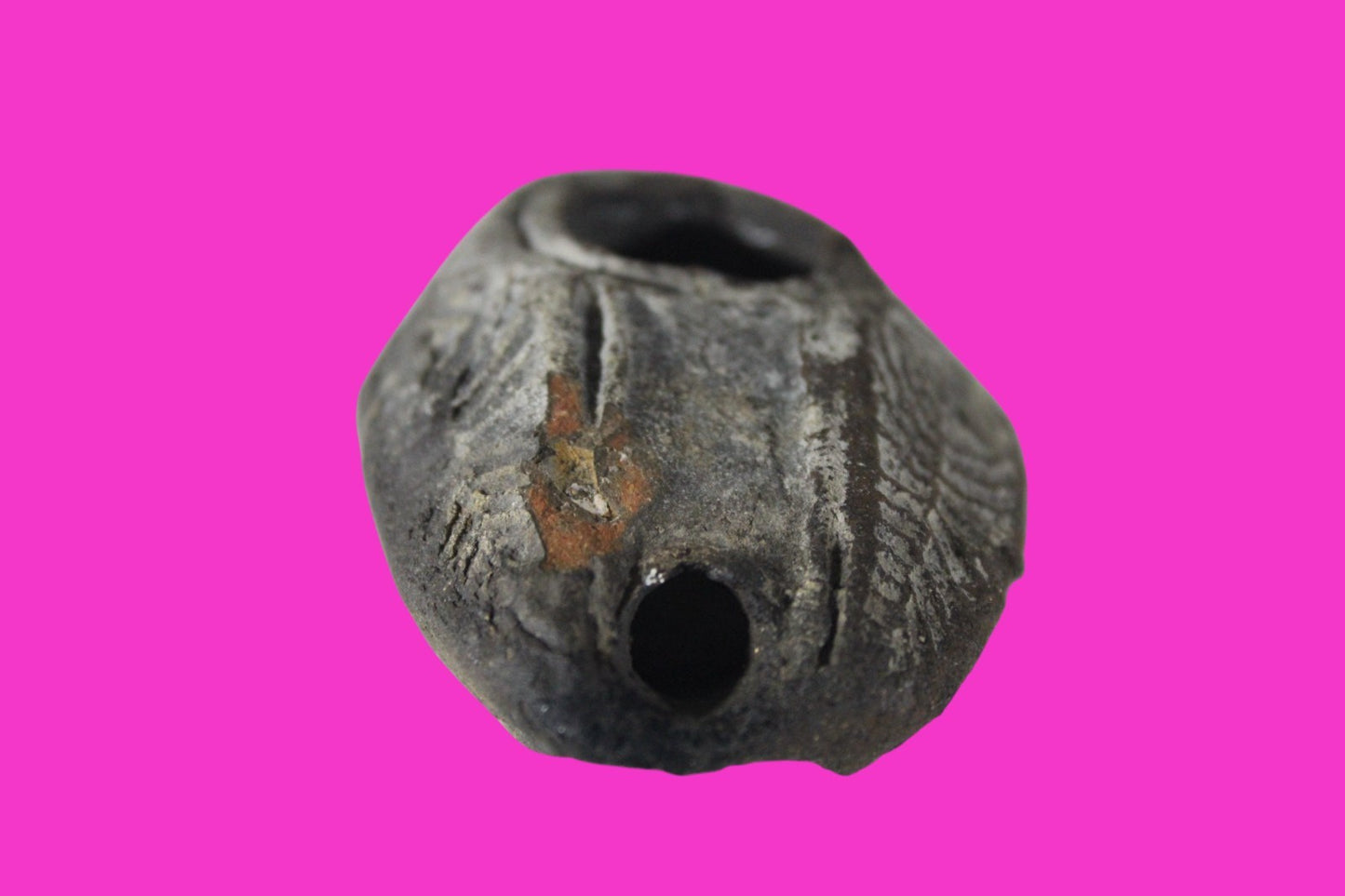Oil Lamp Holy Land Ancient Artifact Jesus Christ Home Israel 300-600 AD COA 73