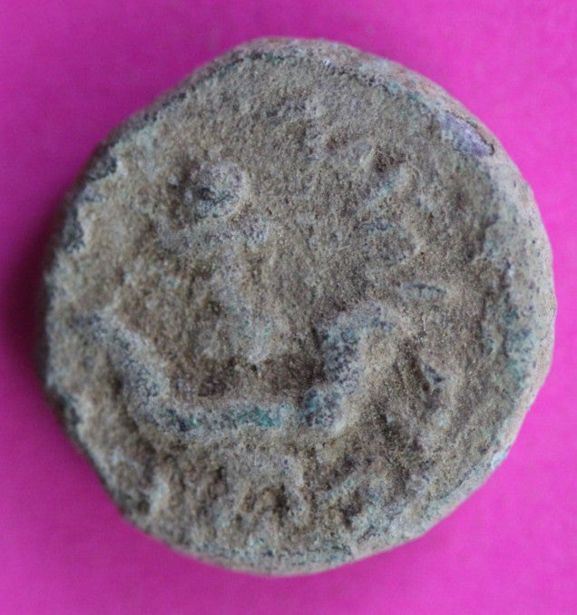 ORIGINAL Desert Patina Big Widows Mite Herods Hoard Holy Land Artifact COA A123