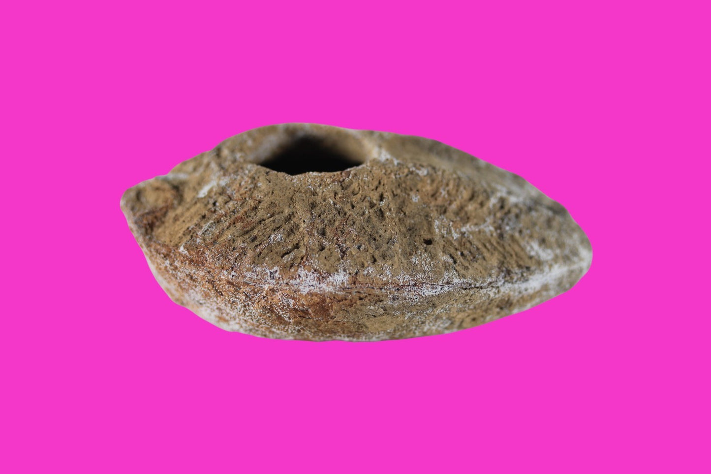 Time of the Christians Oil Lamp Ancient Holy Land Artifact 313-636 AD COA 23