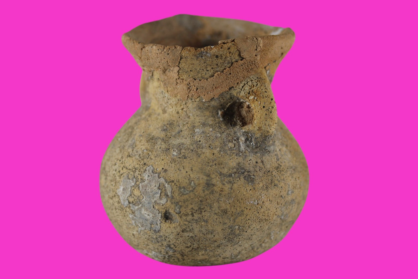 Time of Alexander the Great Holy Land Artifact Ancient Jar 332 BC-63 AD COA 91