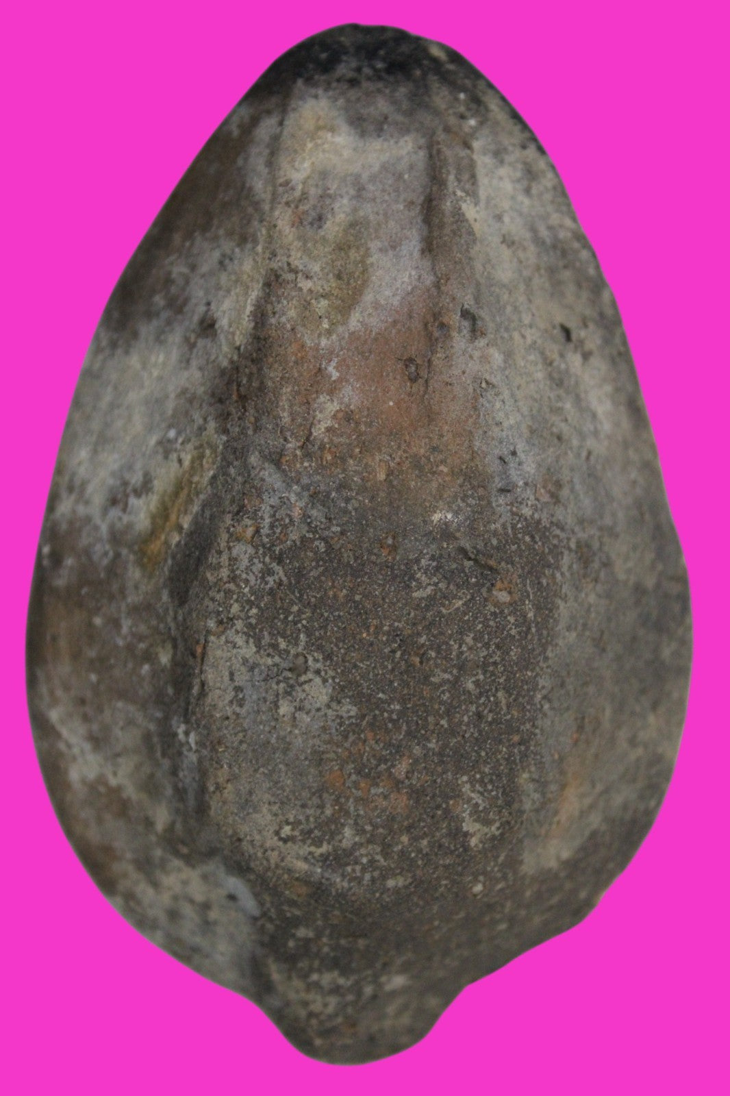 Holy Land Oil Lamp Ancient Artifact Time of the Christians 313-636 AD COA 196