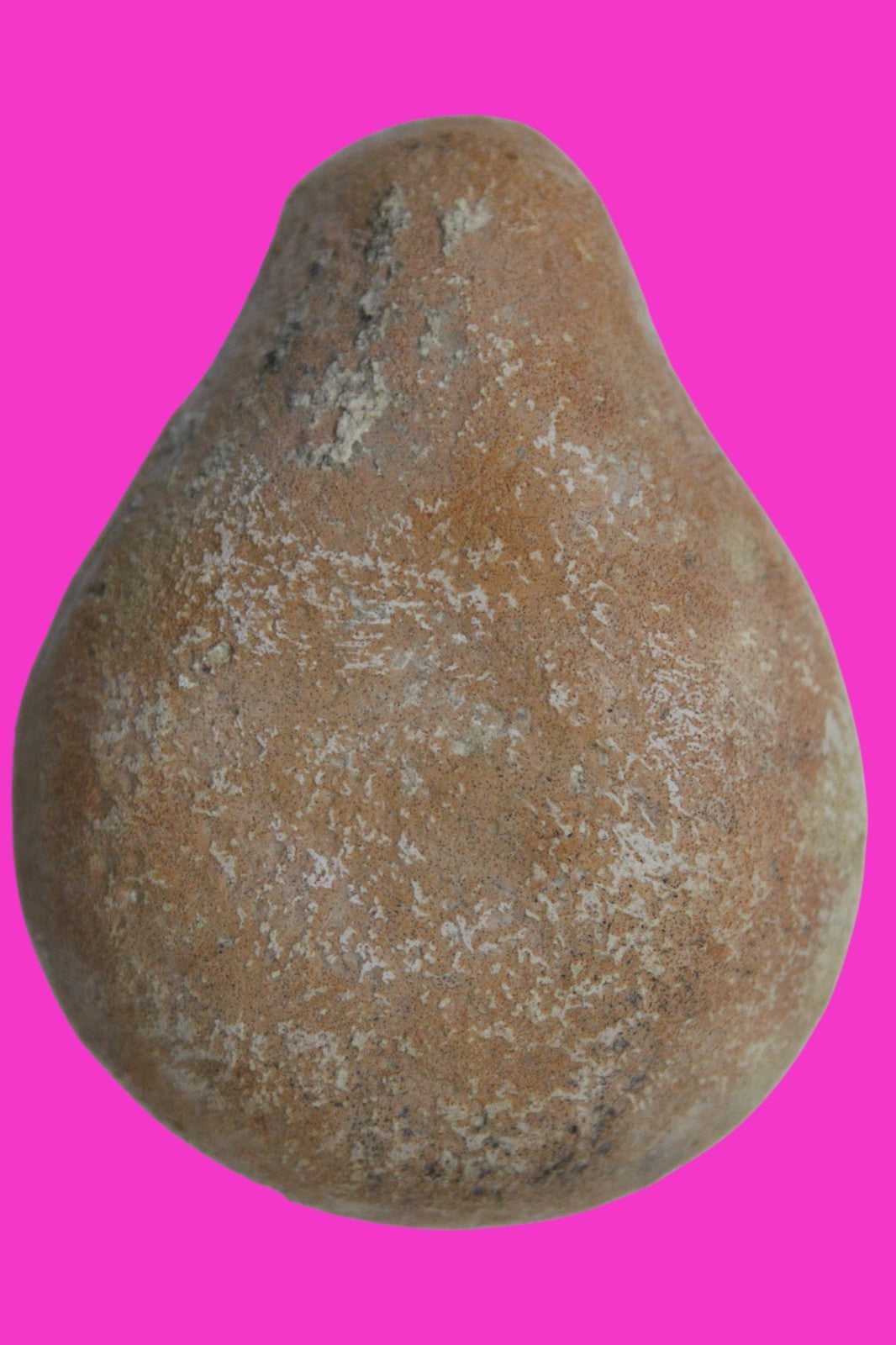 Holy Land Oil Lamp Ancient Artifact Time of Jesus & Apostles 63BC-323AD COA 162