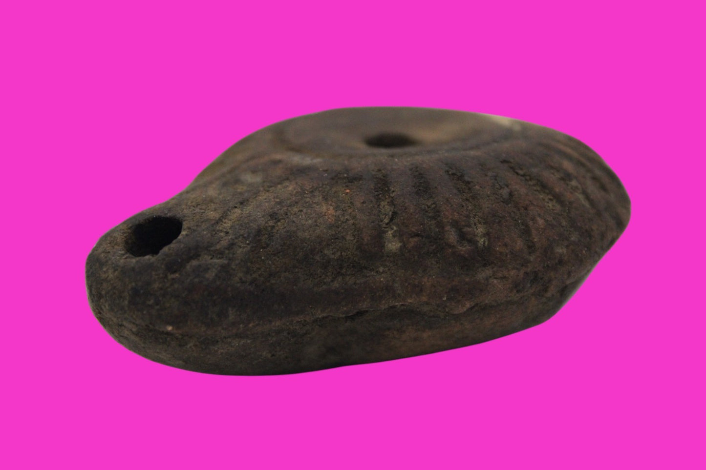 Ancient Holy Land Oil Lamp Artifact From Jesus Christ Home Land 100-500AD COA 60