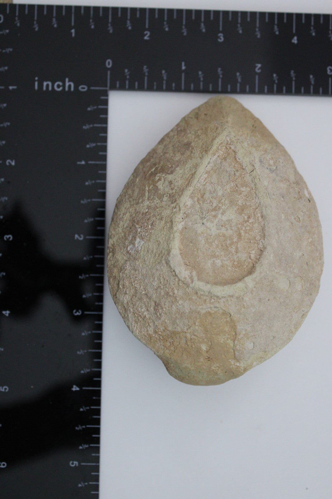 Holy Land Oil Lamp Ancient Artifact Time of the Christians 313-636 AD COA 219