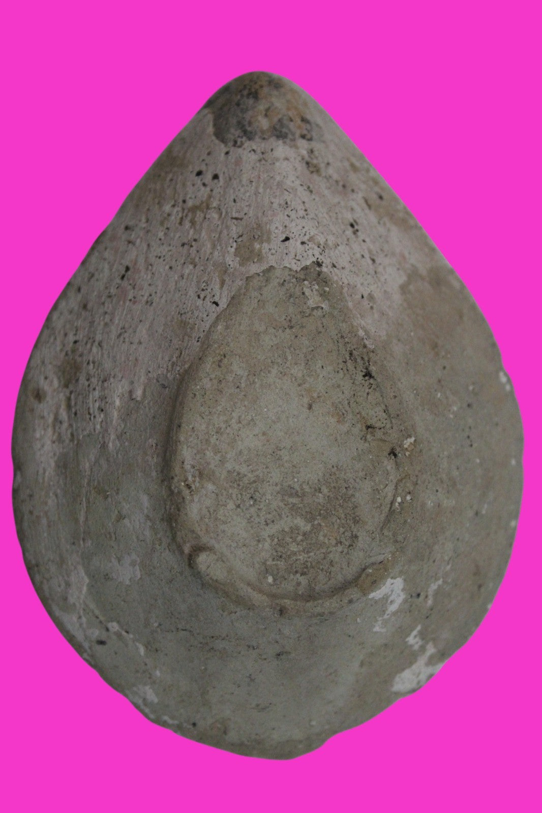 Holy Land Oil Lamp Ancient Artifact Time of the Christians 313-636 AD COA 215