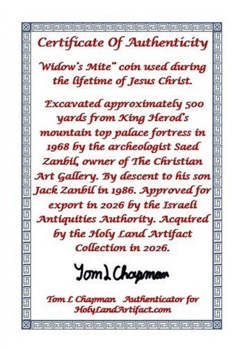 ORIGINAL Desert Patina Big Widows Mite Herods Hoard Holy Land Artifact COA A123