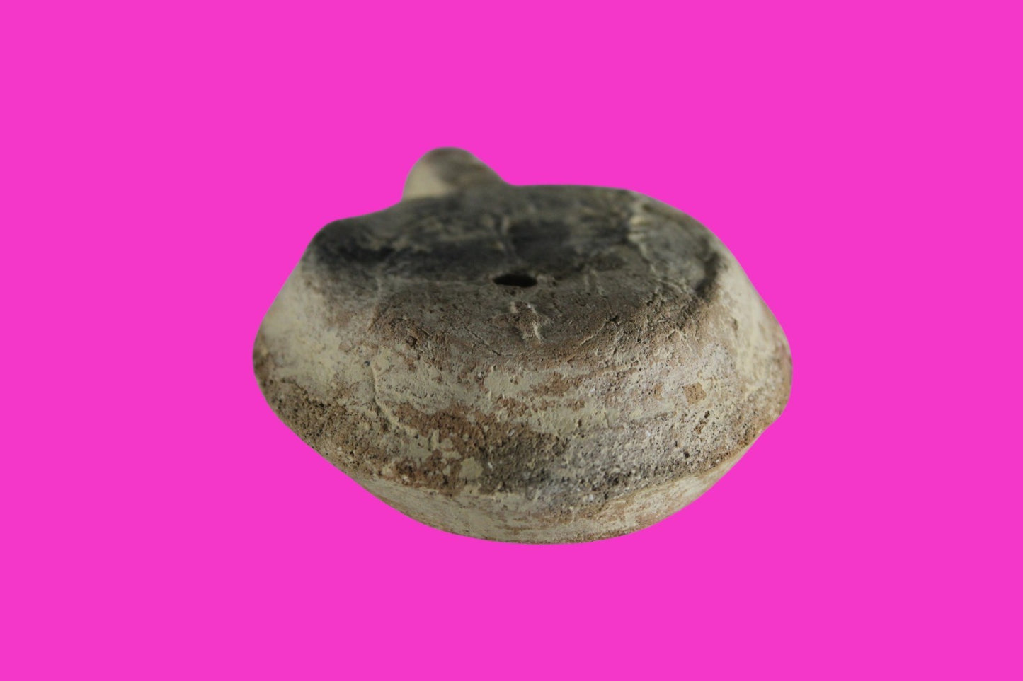 ORIGINAL Desert Patina Big Widows Mite Herods Hoard Holy Land Artifact COA A125