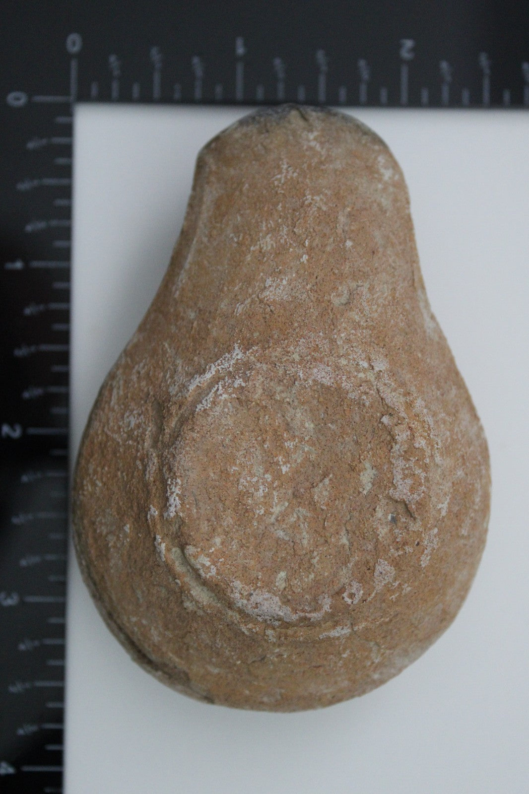 Holy Land Oil Lamp Ancient Artifact Time of Jesus & Apostles 63BC-323AD COA 157