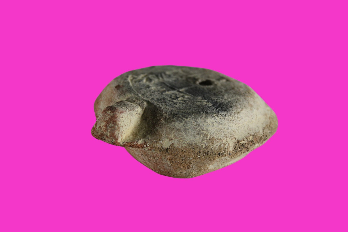 ORIGINAL Desert Patina Big Widows Mite Herods Hoard Holy Land Artifact COA A125