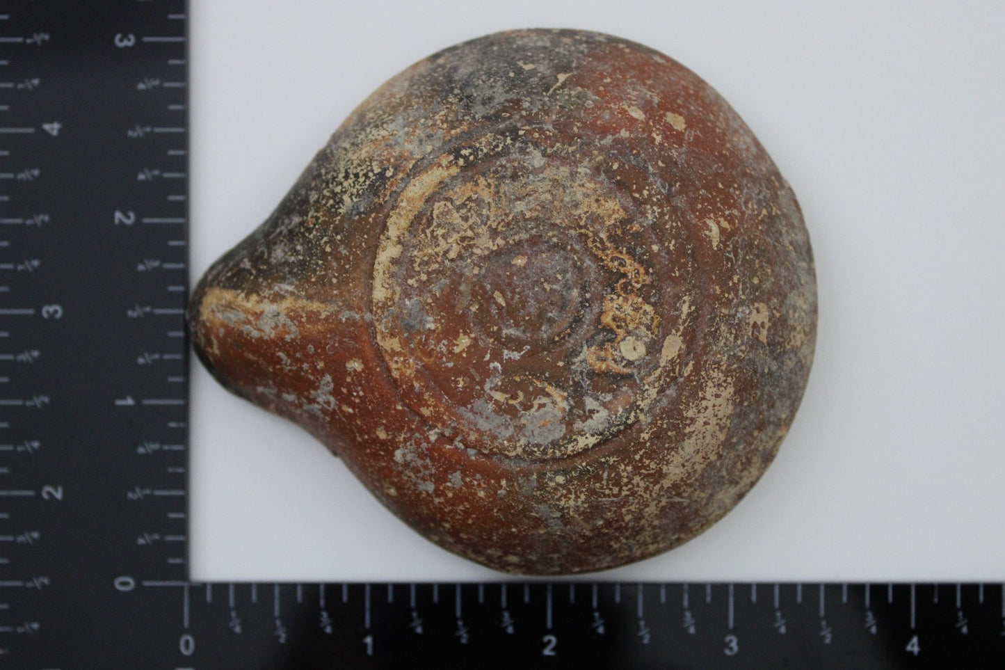 Holy Land Oil Lamp Ancient Artifact Time of Jesus & Apostles 313-636 AD COA 150