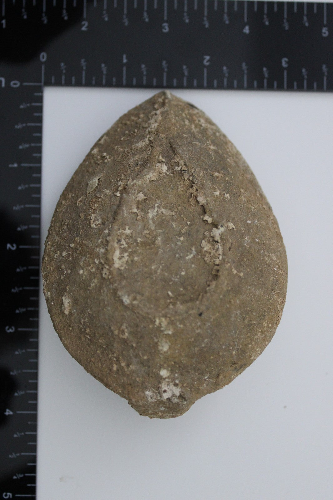 Holy Land Oil Lamp Ancient Artifact Time of the Christians 313-636 AD COA 205