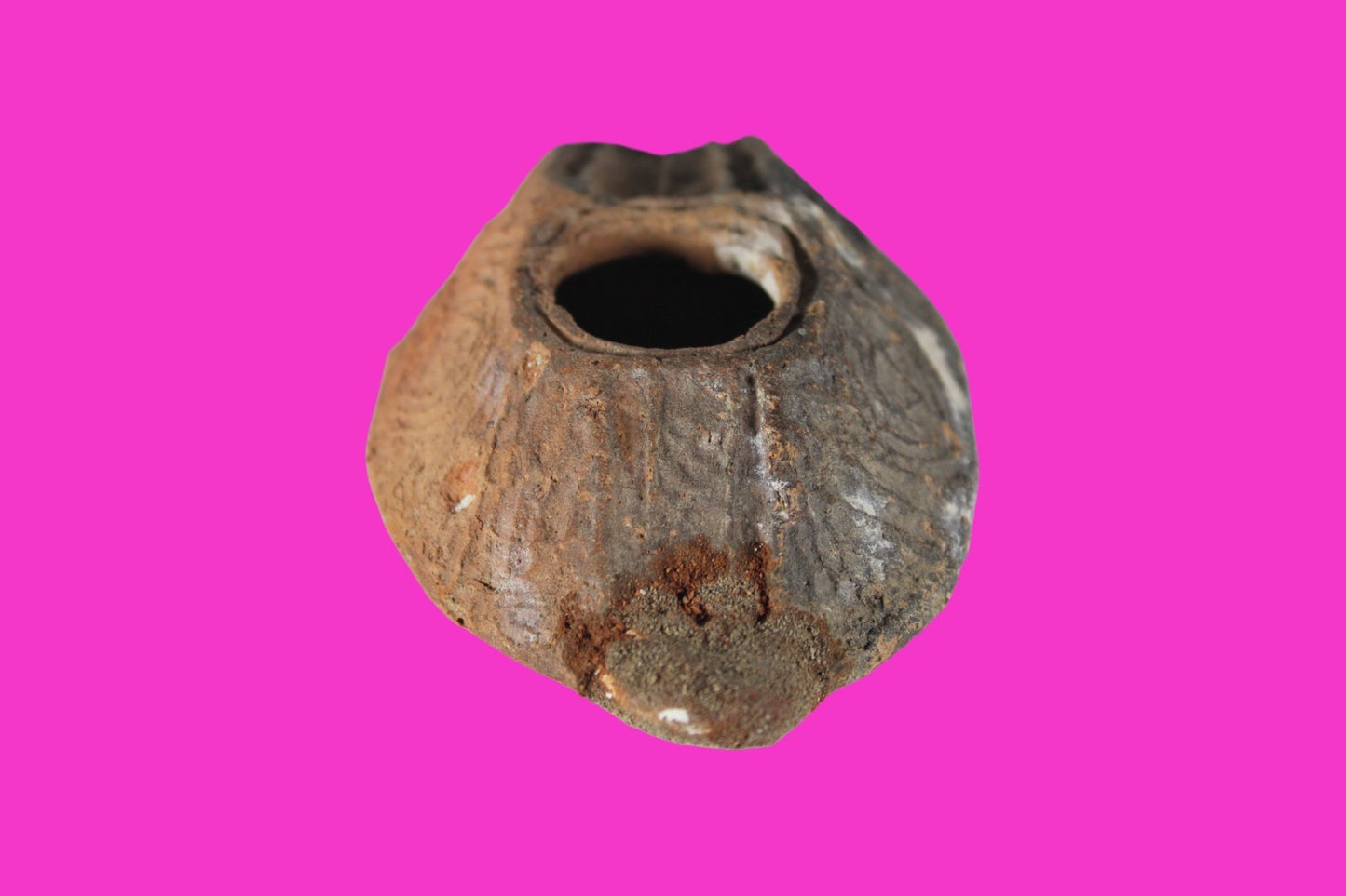 Holy Land Oil Lamp Ancient Artifact Time of the Christians 313-636 AD COA 216