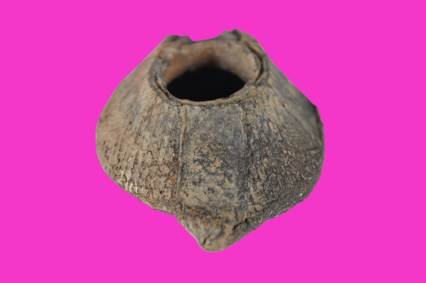 Holy Land Oil Lamp Ancient Artifact Time of the Christians 313-636 AD COA 182