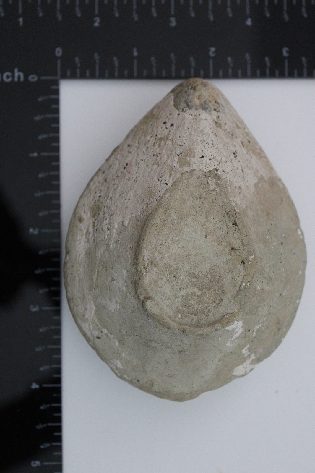 Holy Land Oil Lamp Ancient Artifact Time of the Christians 313-636 AD COA 215