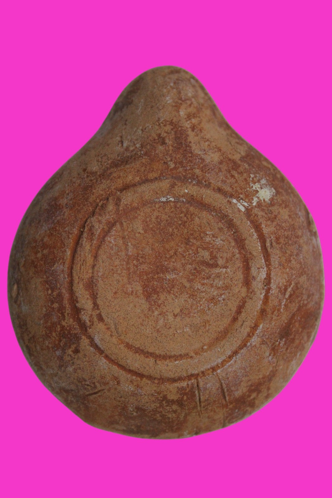 Holy Land Oil Lamp Ancient Artifact Time of Jesus & Apostles 63BC-323AD COA 166