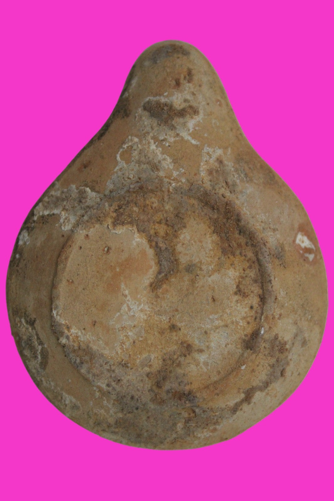 Holy Land Oil Lamp Ancient Artifact Time of Jesus & Apostles 63BC-323AD COA 159