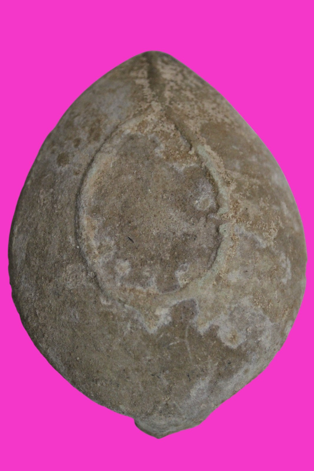 Holy Land Oil Lamp Ancient Artifact Time of the Christians 313-636 AD COA 218