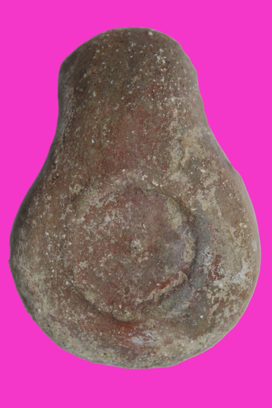 Holy Land Mini Oil Lamp Ancient Artifact Time of the Apostles 63BC-323AD COA 169