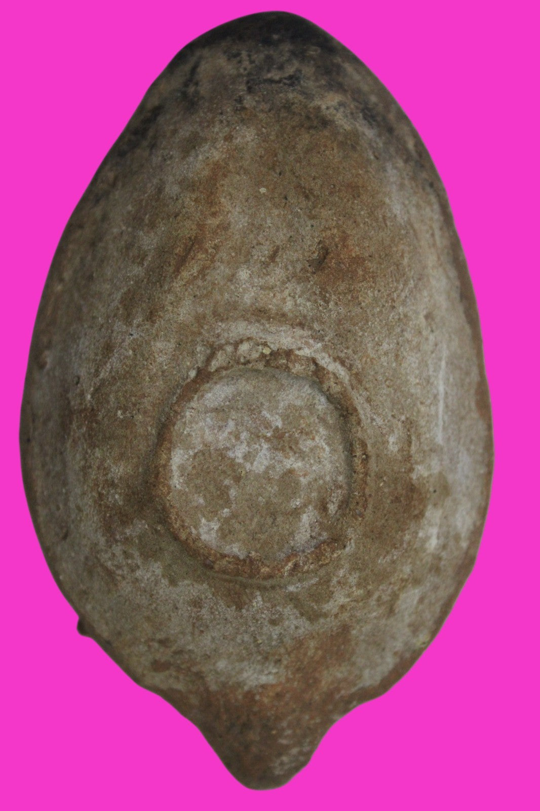 Holy Land Oil Lamp Ancient Artifact Time of the Christians 313-636 AD COA 210