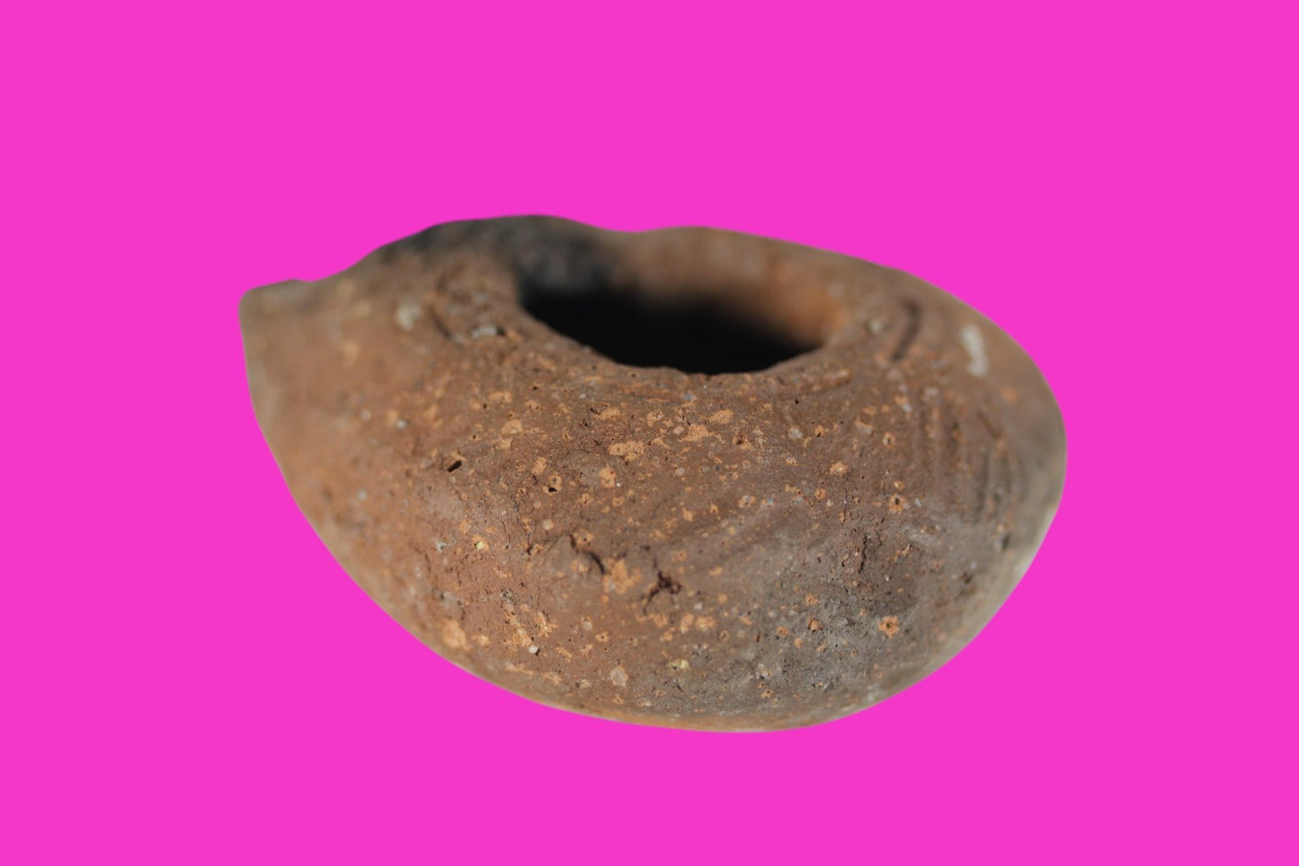 Holy Land Oil Lamp Ancient Artifact Time of Jesus & Apostles 63BC-323AD COA 146