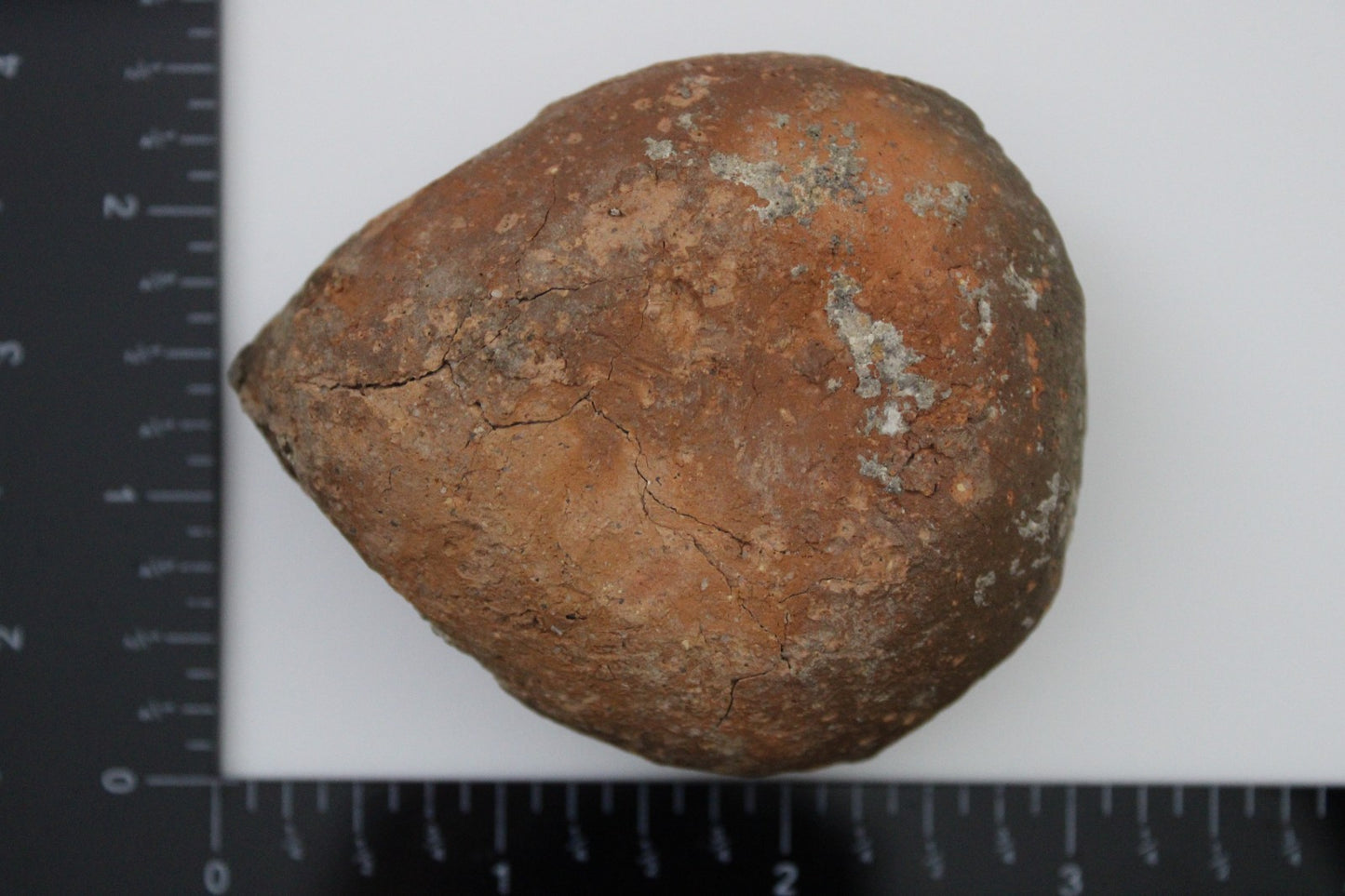 Holy Land Oil Lamp Ancient Artifact Time of Jesus & Apostles 63BC-323AD COA 146