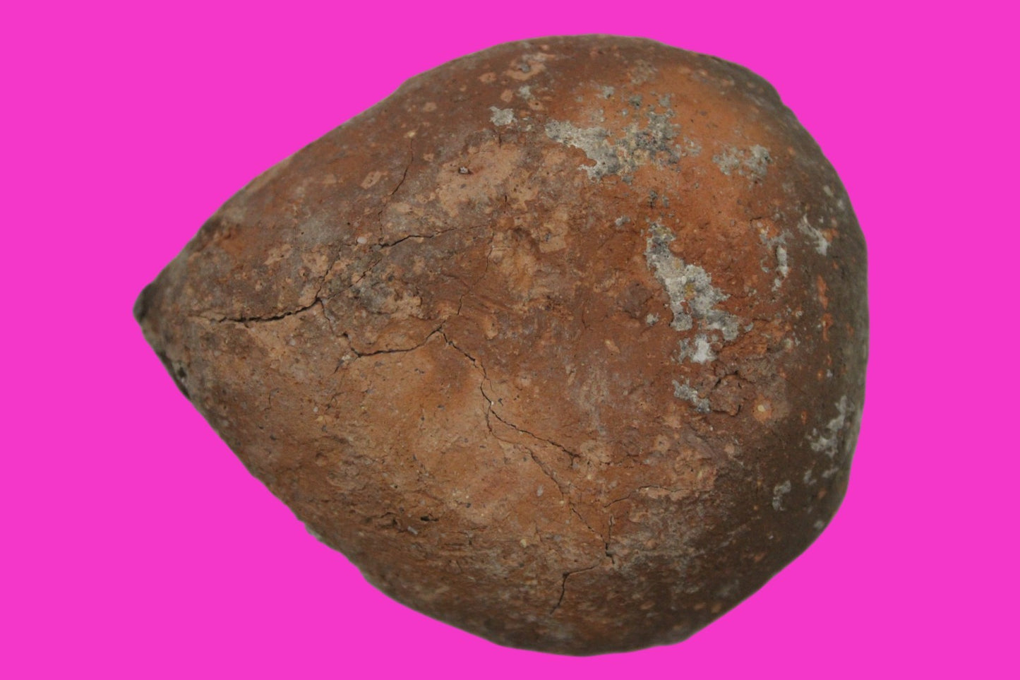 Holy Land Oil Lamp Ancient Artifact Time of Jesus & Apostles 63BC-323AD COA 146