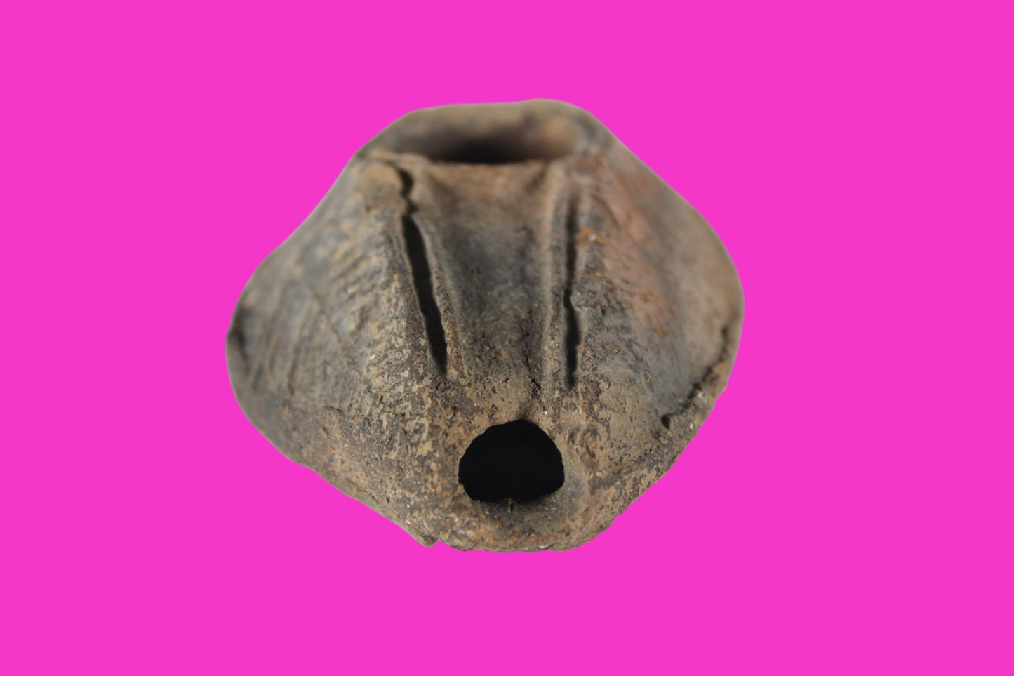 Holy Land Oil Lamp Ancient Artifact Time of the Christians 313-636 AD COA 182