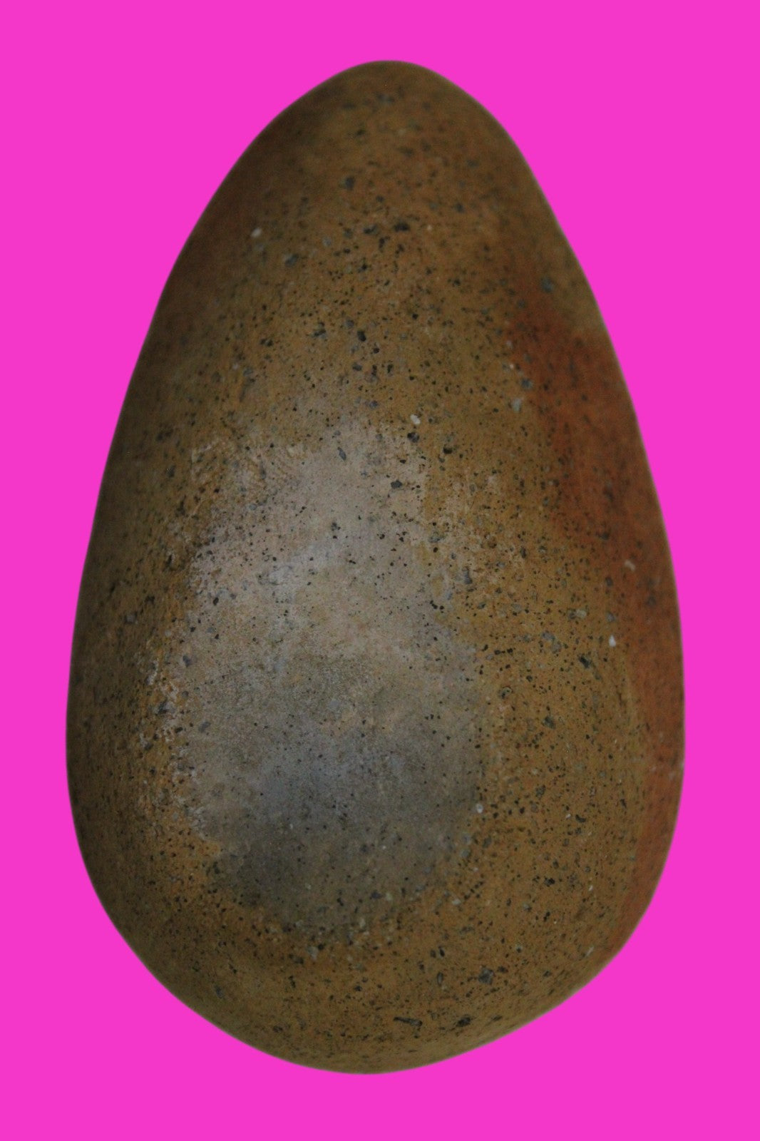 Ancient Holy Land Oil Lamp Artifact  From Jesus Christ Homeland 400-600AD COA 41