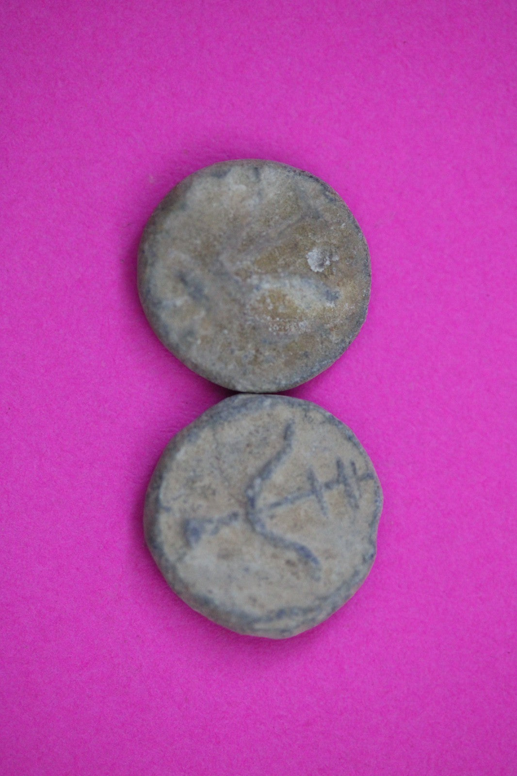 2 Small Widows Mite Coins Holy Land Artifacts Leptons Export Permit COA R957
