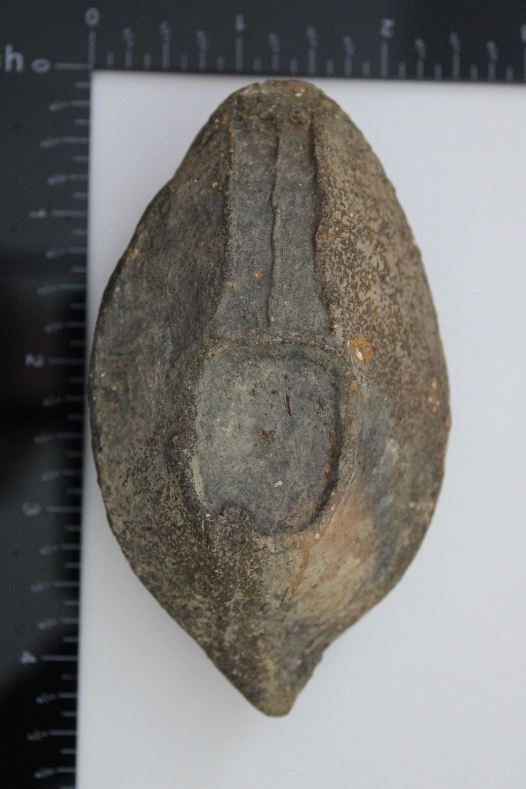 Holy Land Oil Lamp Ancient Artifact Time of the Christians 313-636 AD COA 182