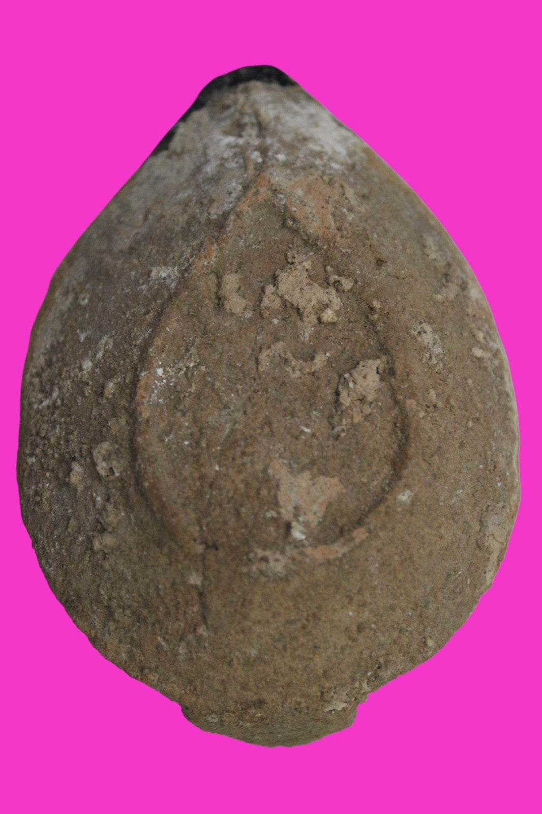 Holy Land Oil Lamp Ancient Artifact Time of the Christians 313-636 AD COA 204