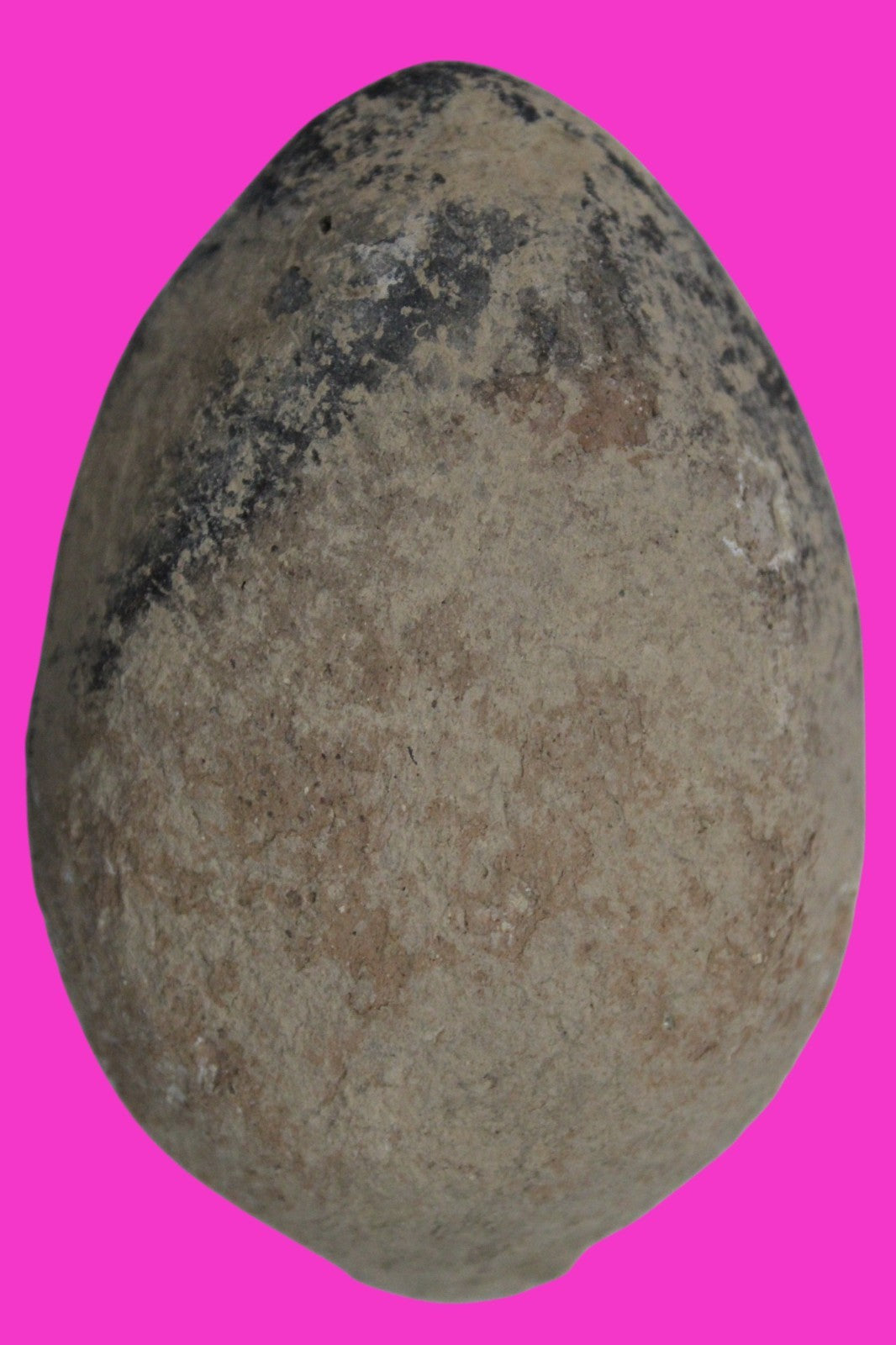 Holy Land Oil Lamp Ancient Artifact Time of the Christians 313-636 AD COA 223