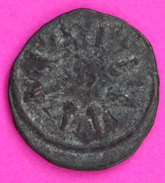 Nice Widows Mite Coin Holy Land Artifact Display Card Export Permit COA @M891