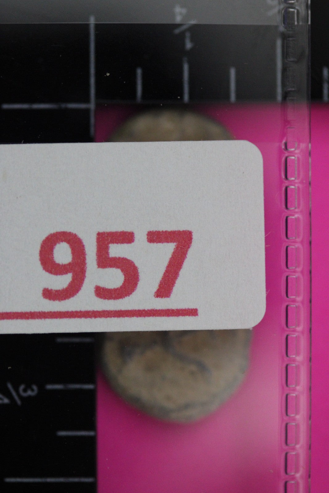 2 Small Widows Mite Coins Holy Land Artifacts Leptons Export Permit COA R957
