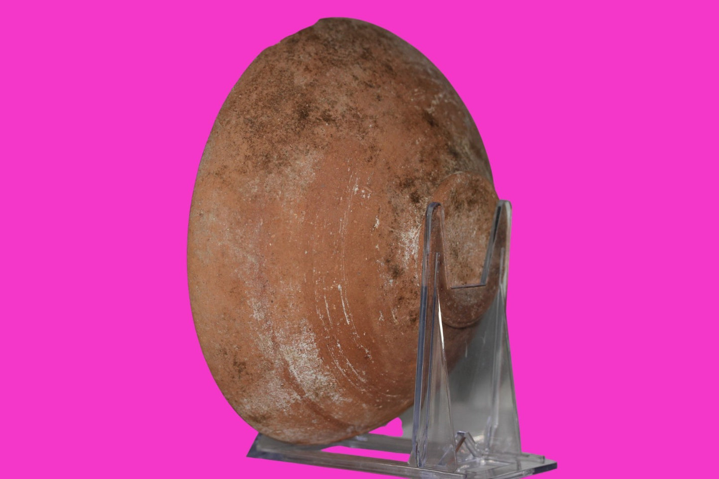 ORIGINAL Desert Patina Small Widows Mite Herod Hoard Holy Land Artifact COA A180