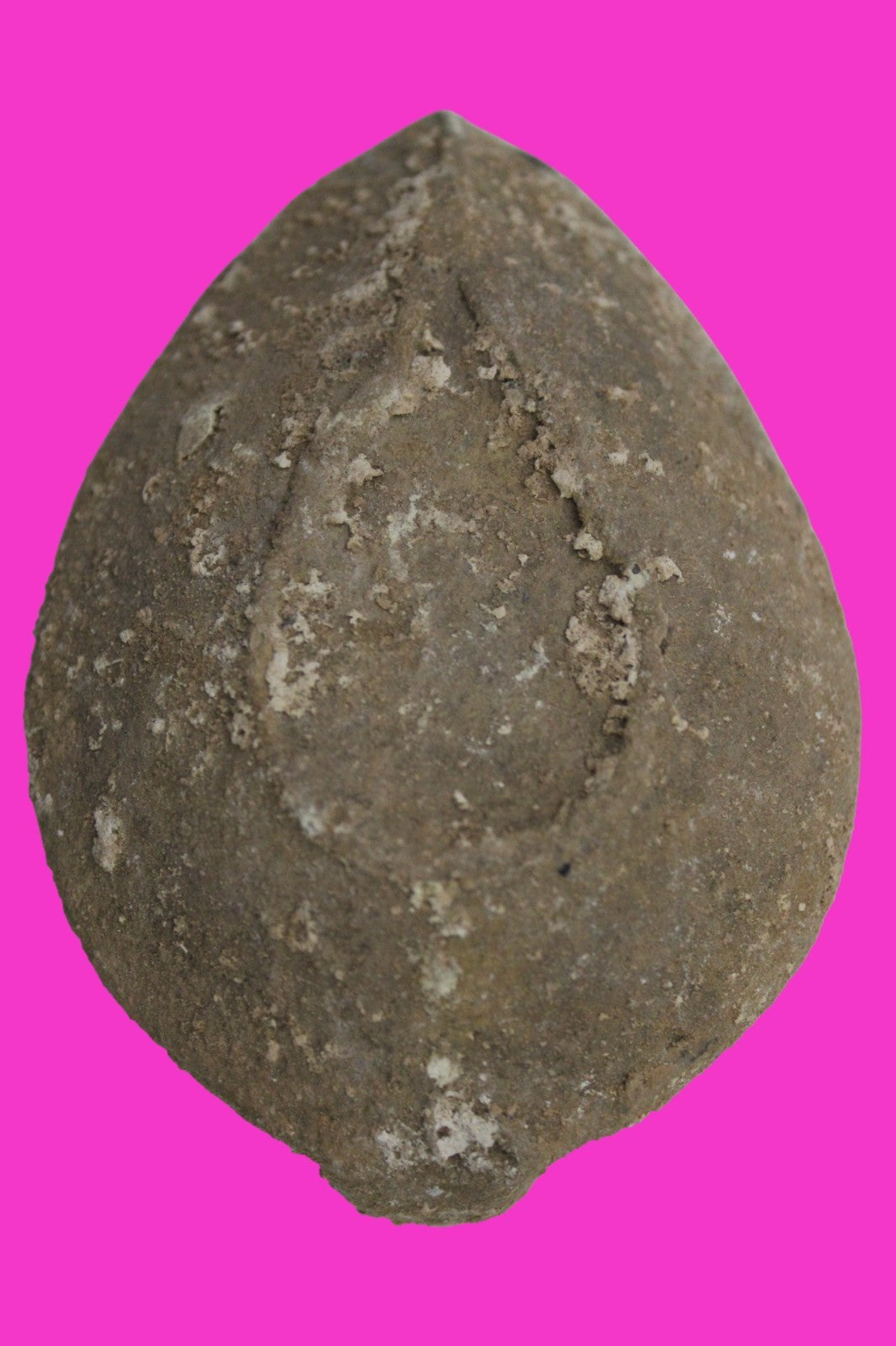 Holy Land Oil Lamp Ancient Artifact Time of the Christians 313-636 AD COA 205